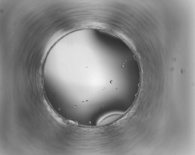 X0000060260816200511112019