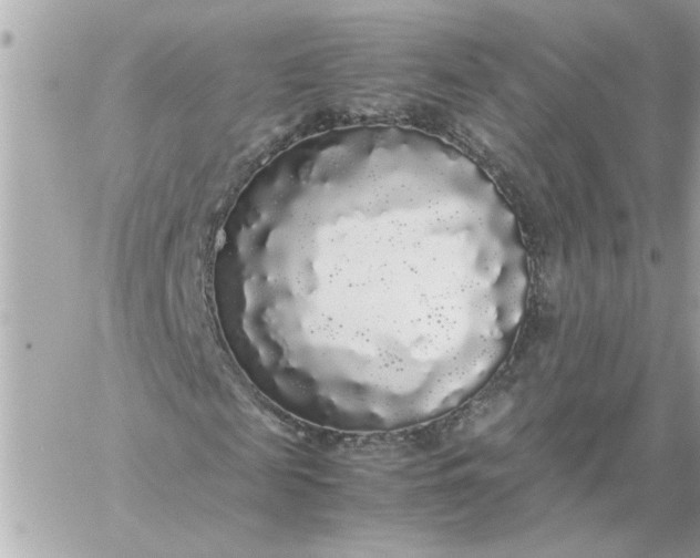 X0000060260817200511112019