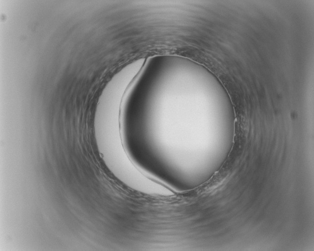 X0000060260818200511112019