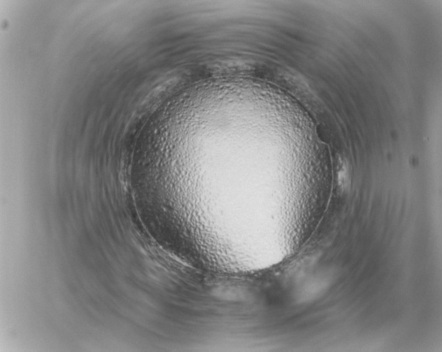 X0000060260819200511112019