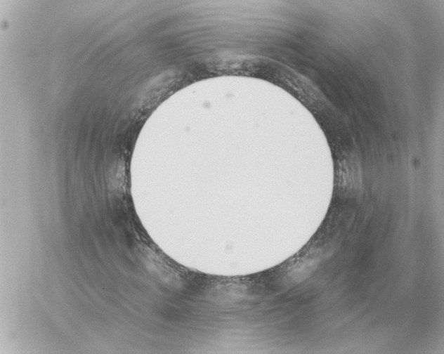 X0000060260820200511112019