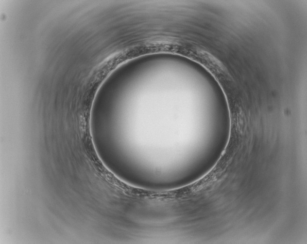 X0000060260821200511112019