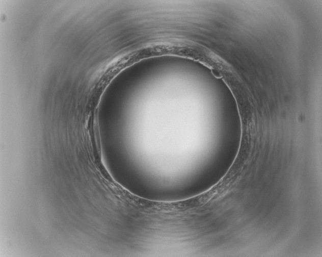 X0000060260822200511112019