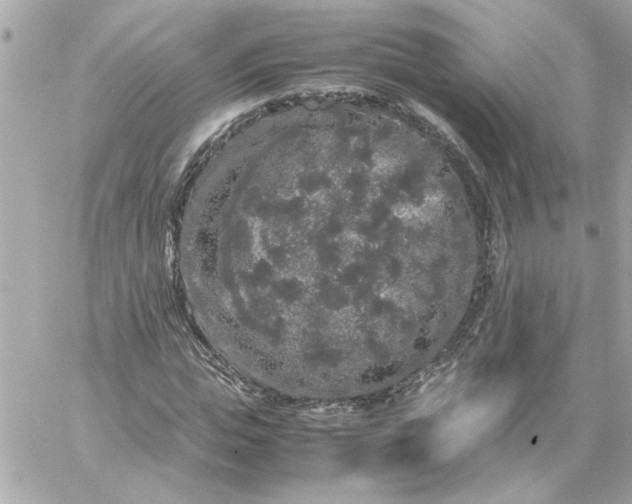 X0000060260823200511112019