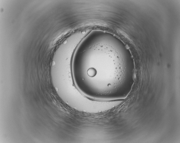 X0000060260824200511112019