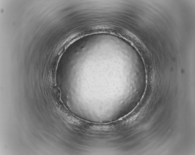 X0000060260825200511112019