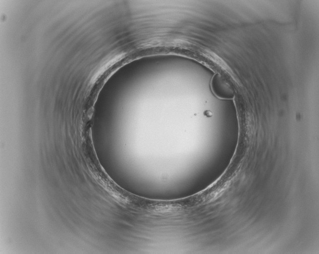 X0000060260826200511112019