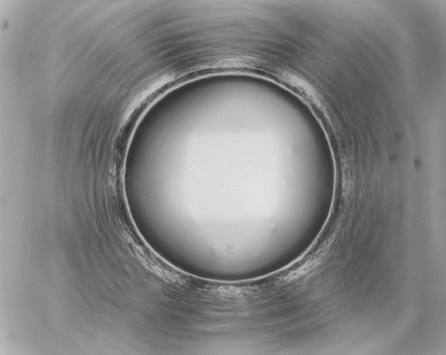 X0000060260827200511112019