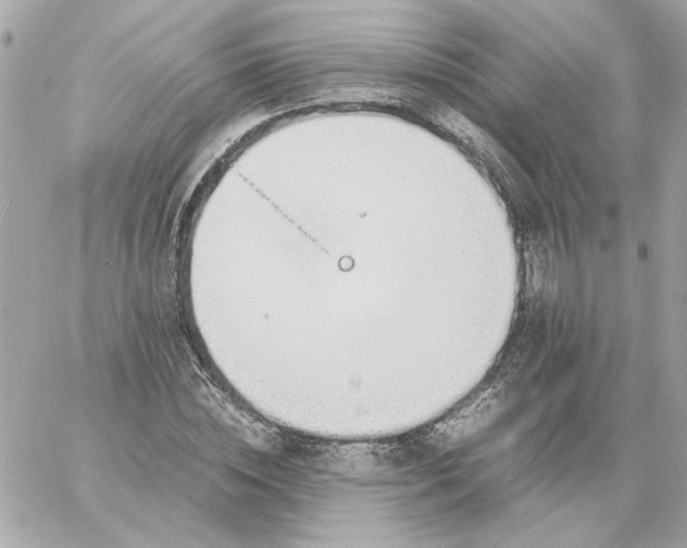 X0000060260828200511112019