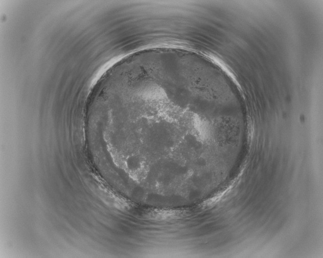 X0000060260829200511112019