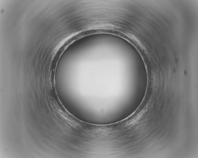 X0000060260830200511112019