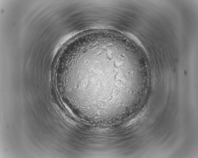 X0000060260831200511112019