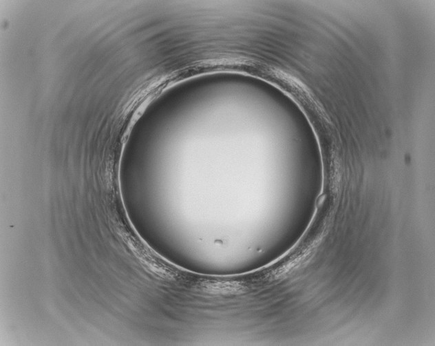 X0000060260833200511112019