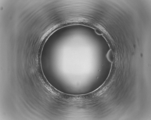 X0000060260834200511112019