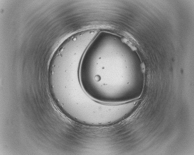 X0000060260836200511112019