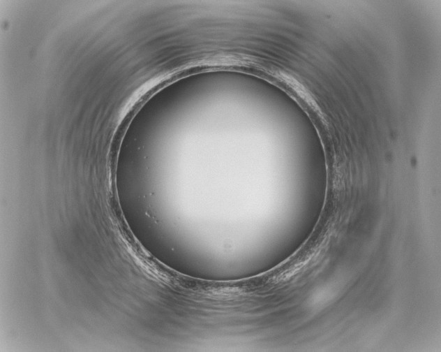 X0000060260837200511112019