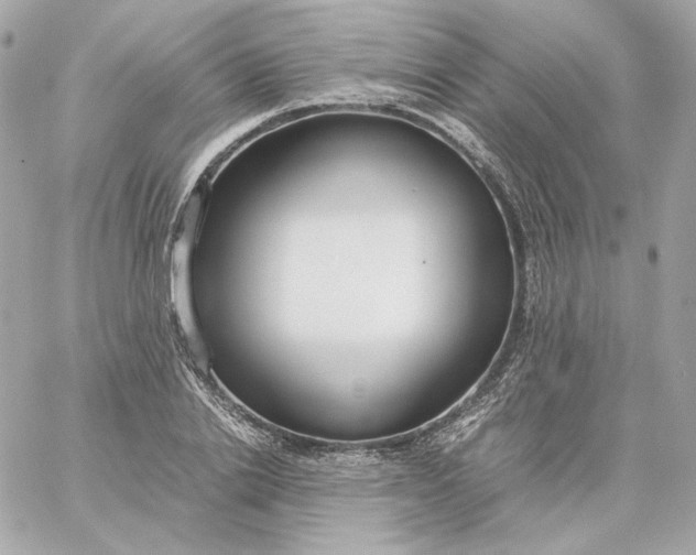 X0000060260838200511112019