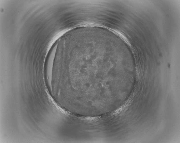 X0000060260839200511112019