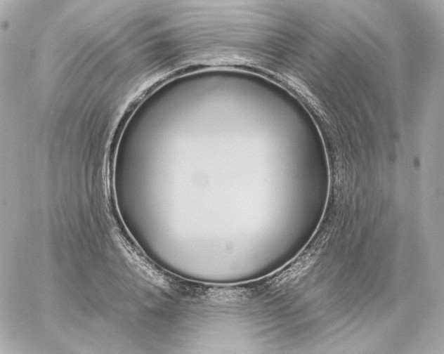 X0000060260840200511112019