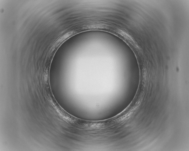 X0000060260841200511112019