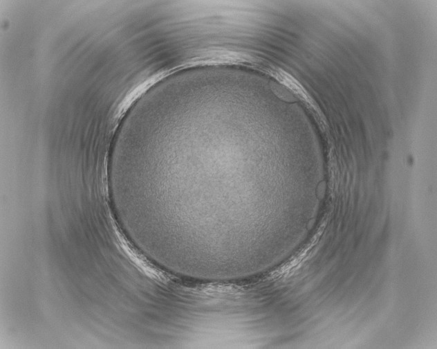 X0000060260842200511112019