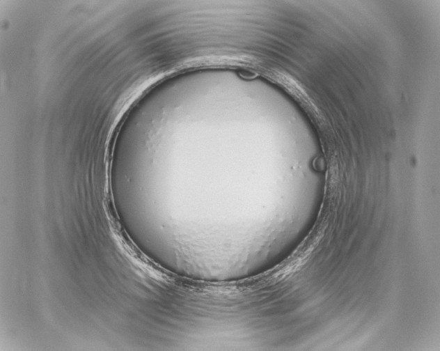 X0000060260844200511112019