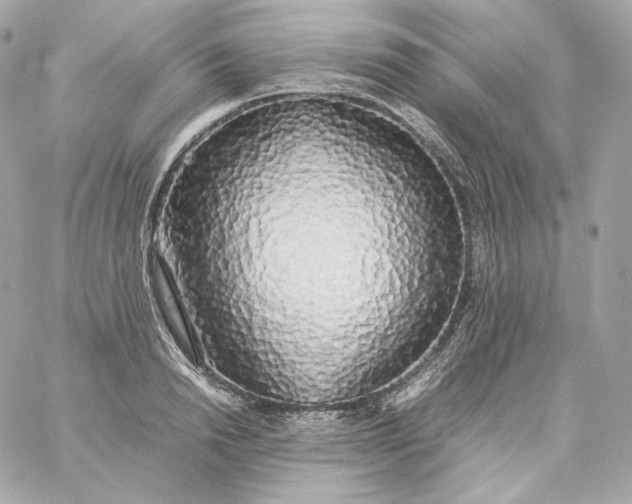 X0000060260846200511112019