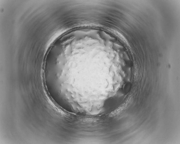 X0000060260847200511112019