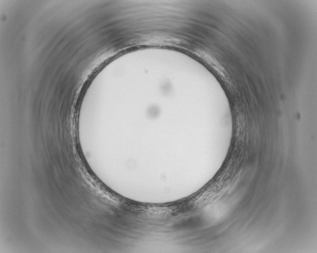 X0000060260848200511112019