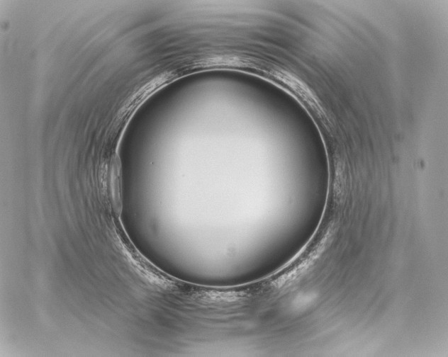 X0000060260849200511112019