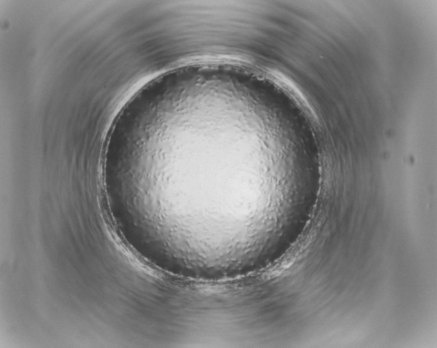 X0000060260852200511112019