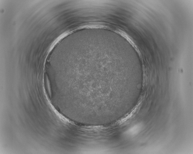 X0000060260853200511112019