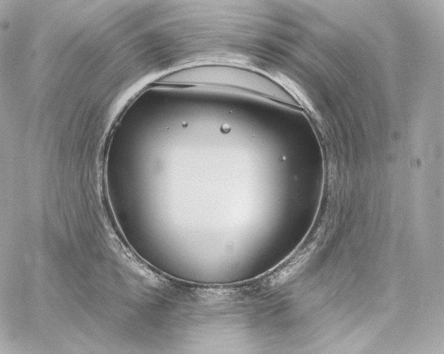 X0000060260854200511112019