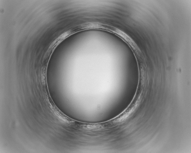 X0000060260857200511112019