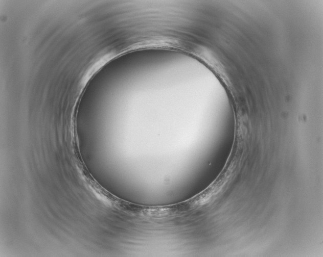 X0000060260858200511112019