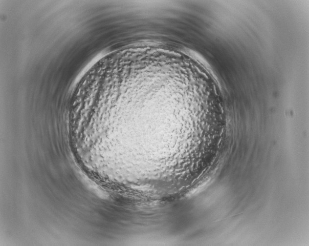 X0000060260859200511112019