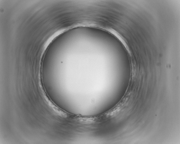 X0000060260861200511112019