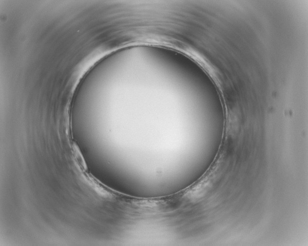 X0000060260862200511112019