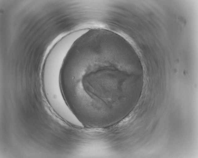 X0000060260864200511112019