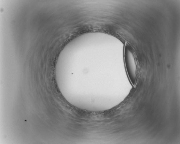 X0000060260865200511112019