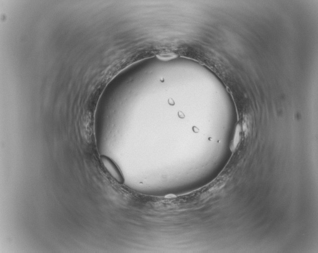 X0000060260867200511112019