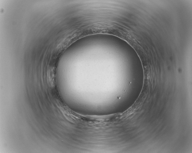 X0000060260868200511112018