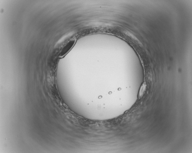 X0000060260869200511112018