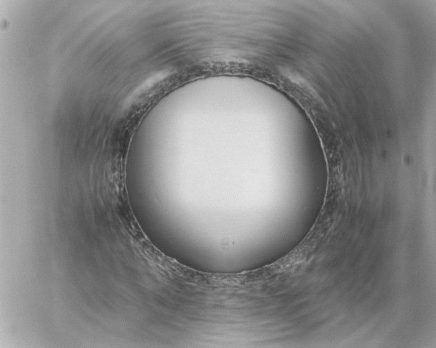 X0000060260870200511112018