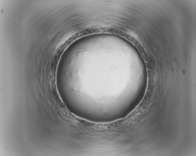 X0000060260871200511112018