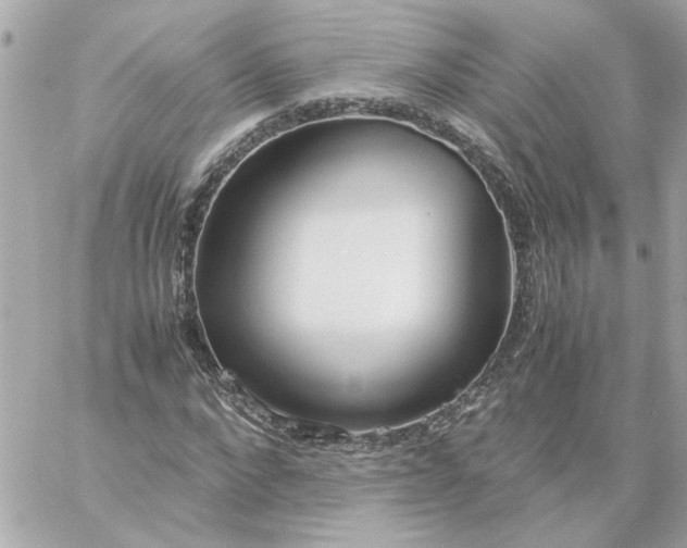 X0000060260872200511112018