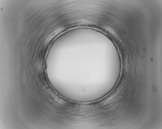 X0000060260873200511112018