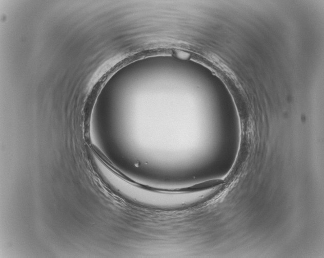 X0000060260877200511112018