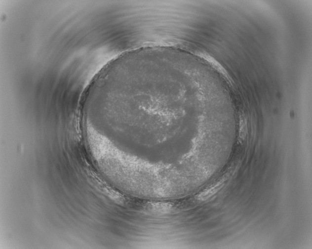 X0000060260878200511112018