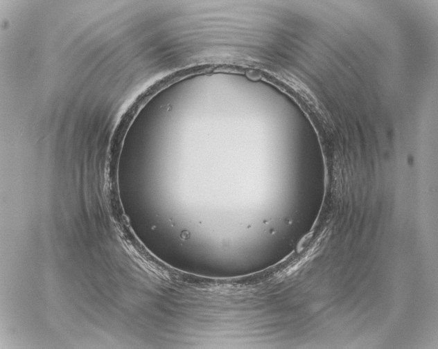 X0000060260880200511112018